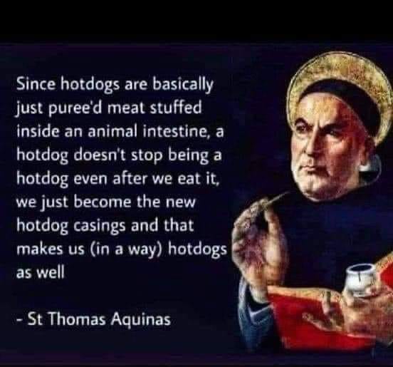 This meme is a humorous quote attributed to St. Thomas Aquinas, a medieval philosopher and theologian. The quote says "Since hotdogs are basically just pureed meat stuffed inside an animal intestine, a hotdog doesn't stop being a hotdog even after we eat it, we just become the new hotdog casings and that makes us (in a way) hotdogs as well." The meme is likely a humorous take on the idea of reincarnation or the transmigration of souls, but it's also a clever play on words.